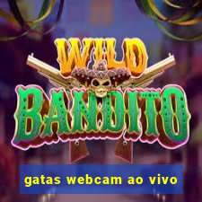 gatas webcam ao vivo